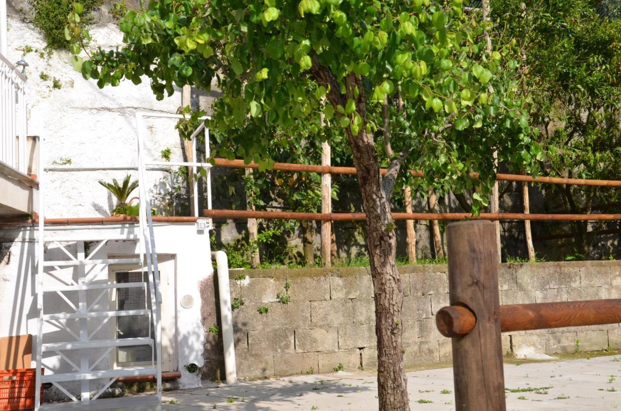 Villa Luciana Sant'Agnello Dış mekan fotoğraf